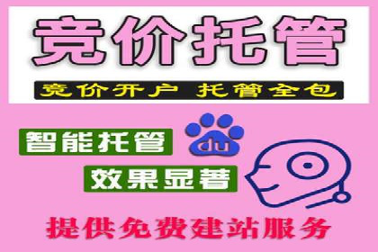 成功案例：信息流广告的创意与市场反应
