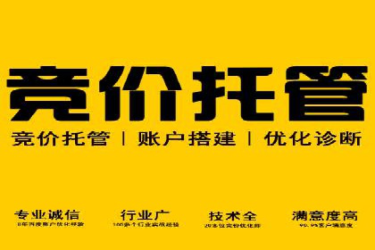 网络推广开户全解析：成功案例分析